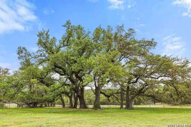 Homes For Sale - 3657 Ranch Road 3232<br/> Johnson City, TX 78636