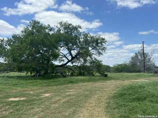 Homes For Sale - 4612 County Road 117<br/> Wilson County, Floresville, TX 78114