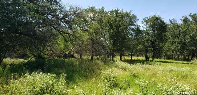 Mobile Home For Sale - 111 Flores Oaks Dr<br/> Floresville, TX 78114