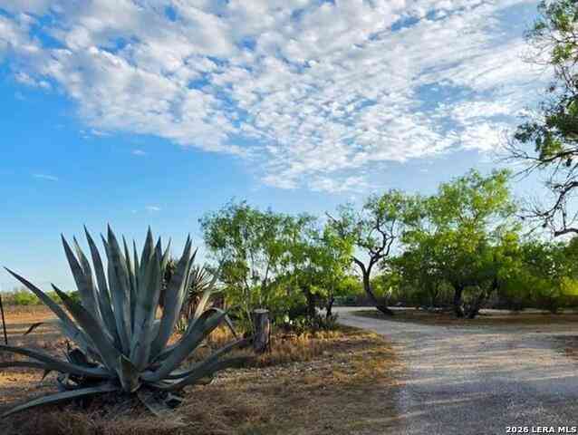 Homes For Sale - 4029 County Road 117<br/> Floresville, TX 78114