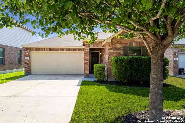 Homes For Rent - 910 Trilby<br/> San Antonio, TX 78253