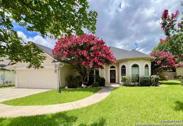 Homes For Rent - 206 English Oaks Cir<br/> Kendall County, Boerne, TX 78006