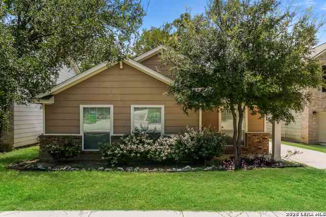 Homes For Rent - 539 Willow Grove<br/> San Antonio, TX 78245
