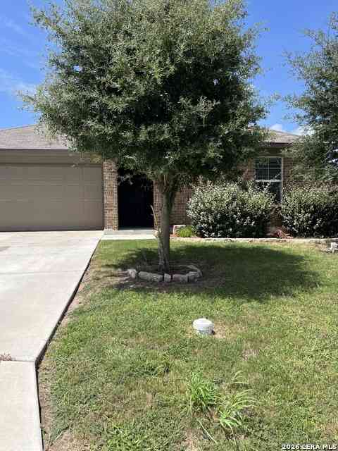 Homes For Rent - 2118 Silver Maple<br/> New Braunfels, TX 78130