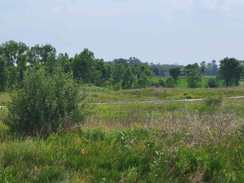 Vacant Land For Sale - LT46 Winter<br/> Sheboygan Falls, WI 53085