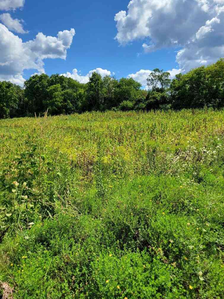 Vacant Land For Sale - LT0 Maple<br/> Sussex, WI 53089