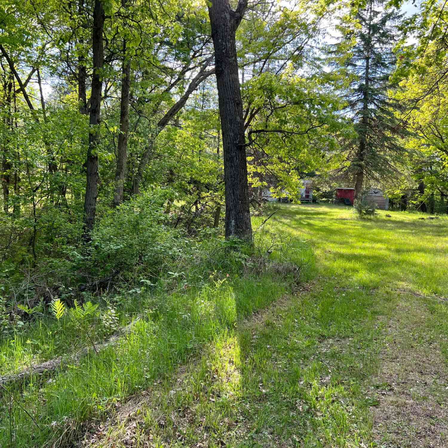 Vacant Land For Sale - N10561 2nd<br/> Juneau County, Cutler, WI 54618