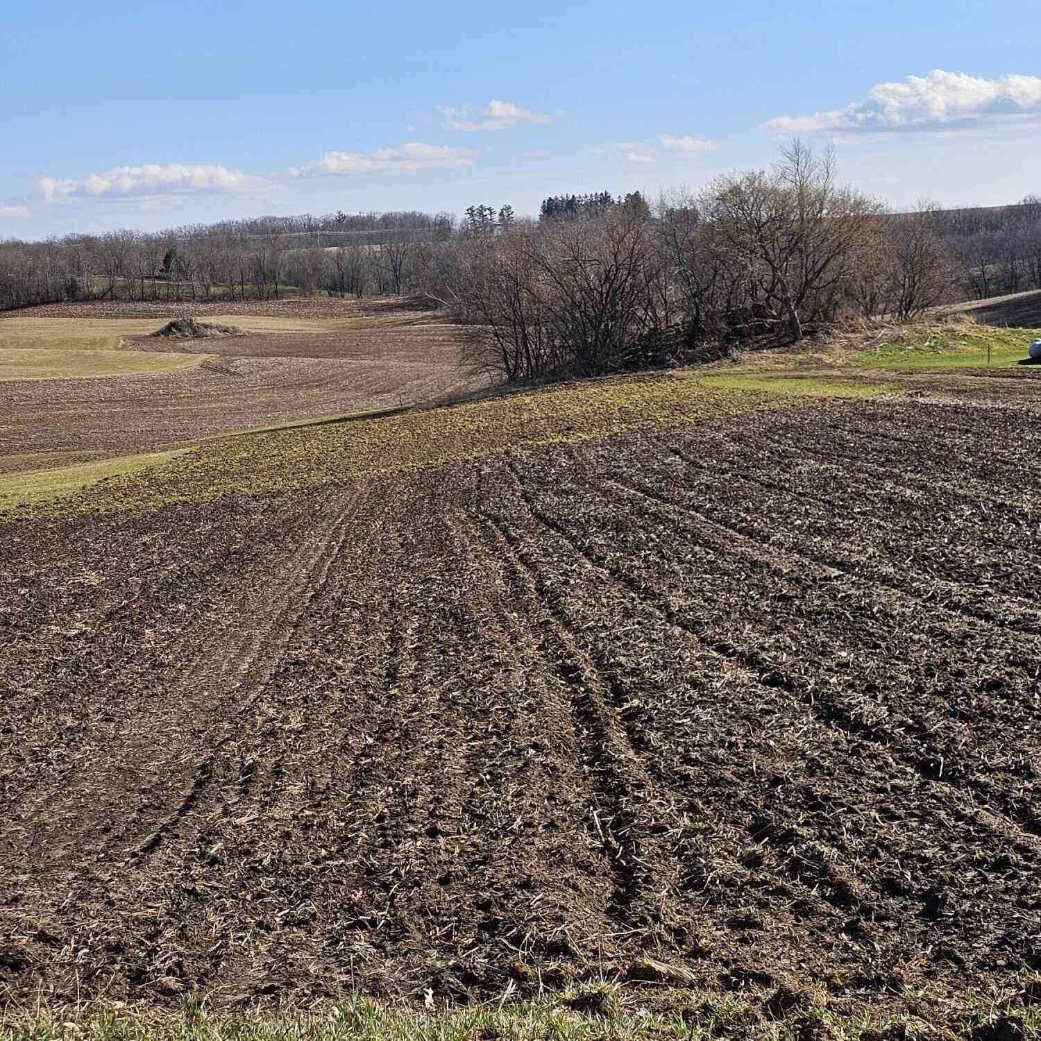 Vacant Land For Sale - 00000 Meadowview<br/> Vernon County, Franklin, WI 54665