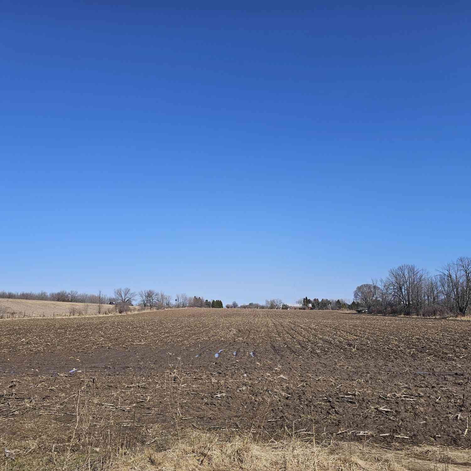 Vacant Land For Sale - LT1 Clover<br/> Manitowoc County, Newton, WI 54220