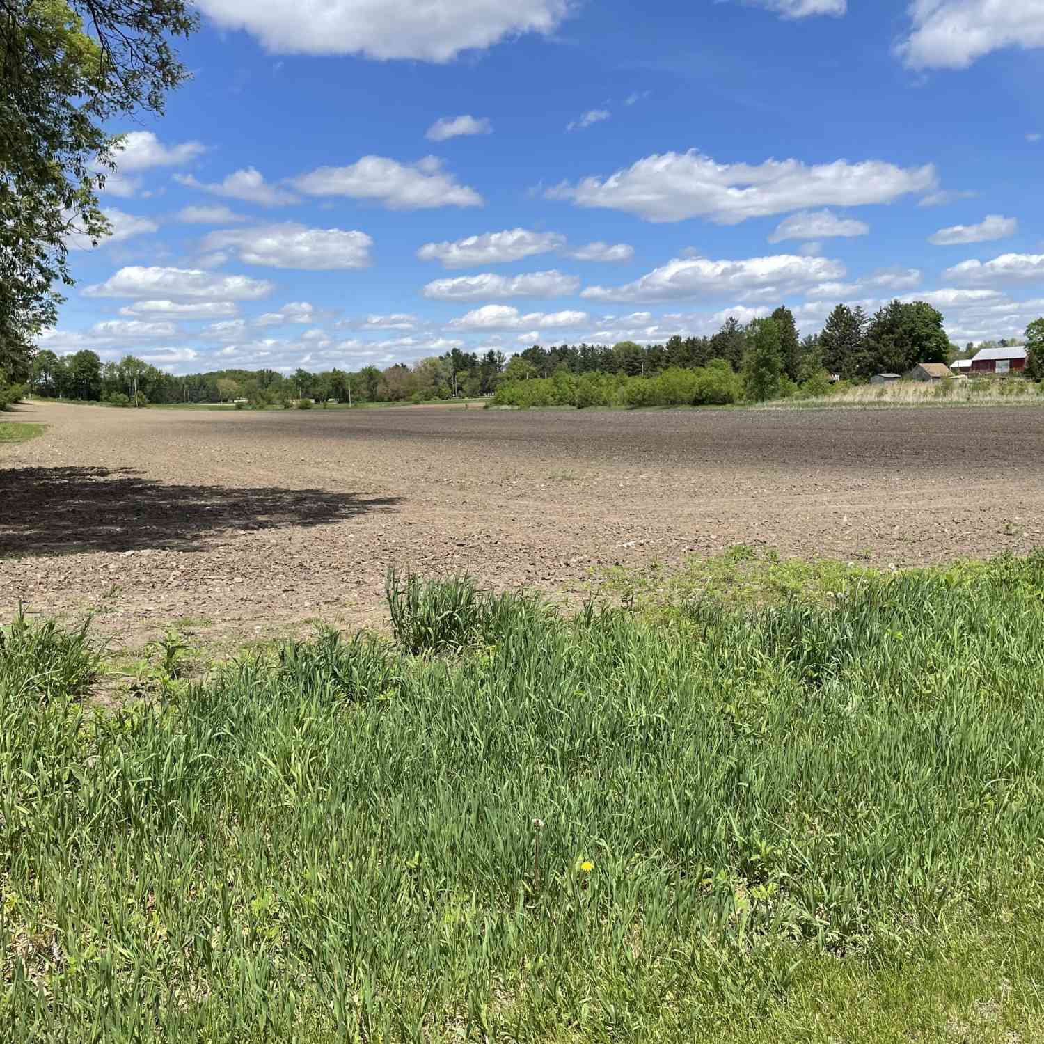 Vacant Land For Sale - W5330 W Wenzel<br/> Jefferson County, Jefferson, WI 53549