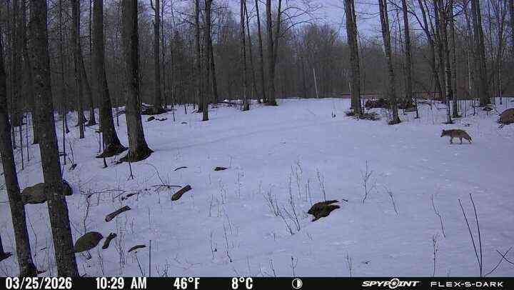 Vacant Land For Sale - N3653 Grudgeville<br/> Evergreen, WI 54491