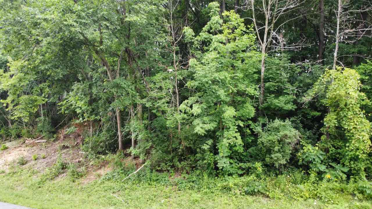 Vacant Land For Sale - LT3 Rock River Paradise<br/> Jefferson County, Watertown, WI 53094