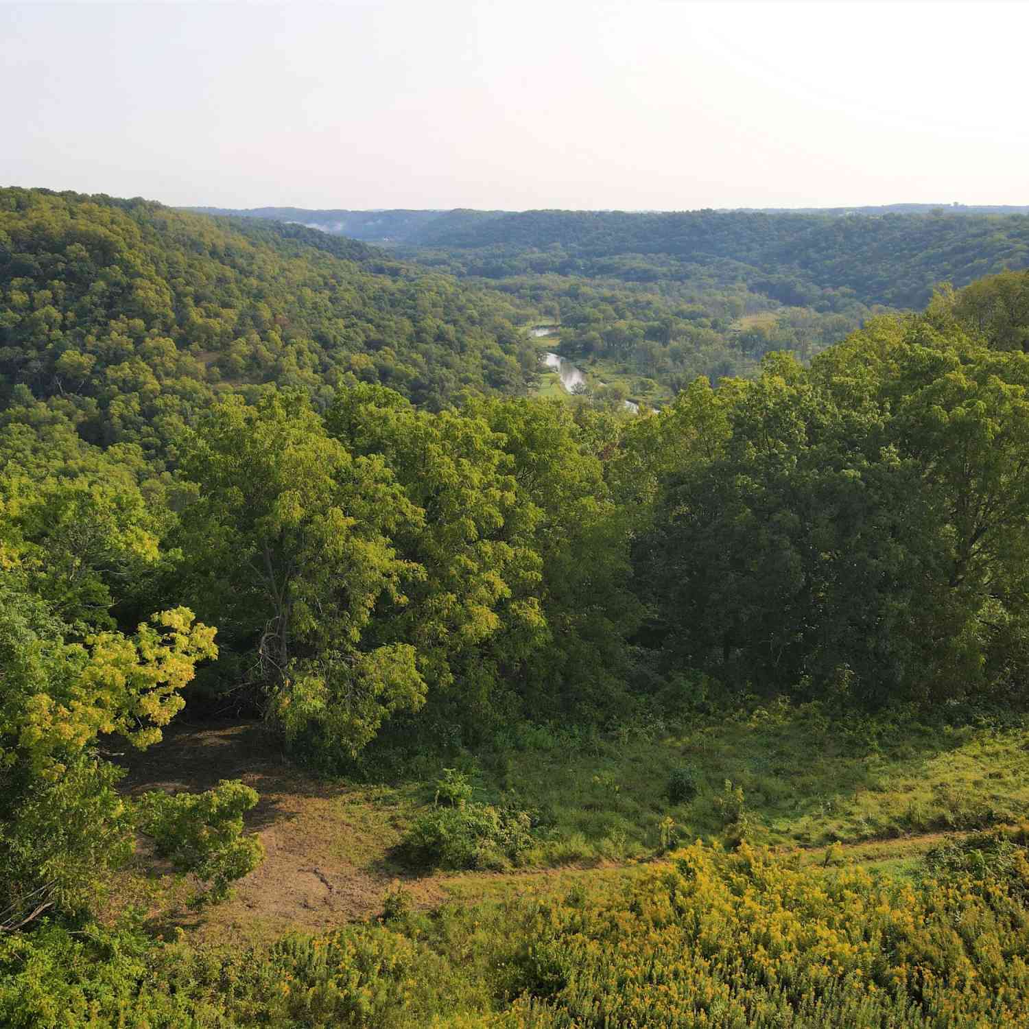 Vacant Land For Sale - 000 Skyview<br/> Crawford County, Eastman, WI 54626