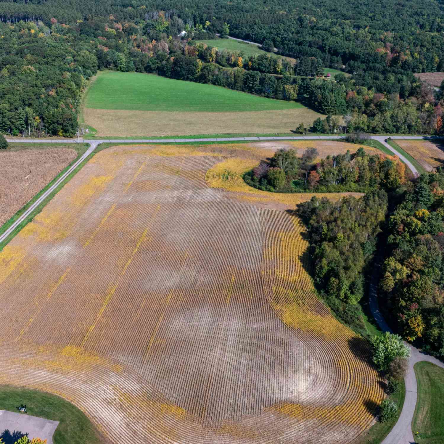 Vacant Land For Sale - Hannon<br/> Adams, WI 54615