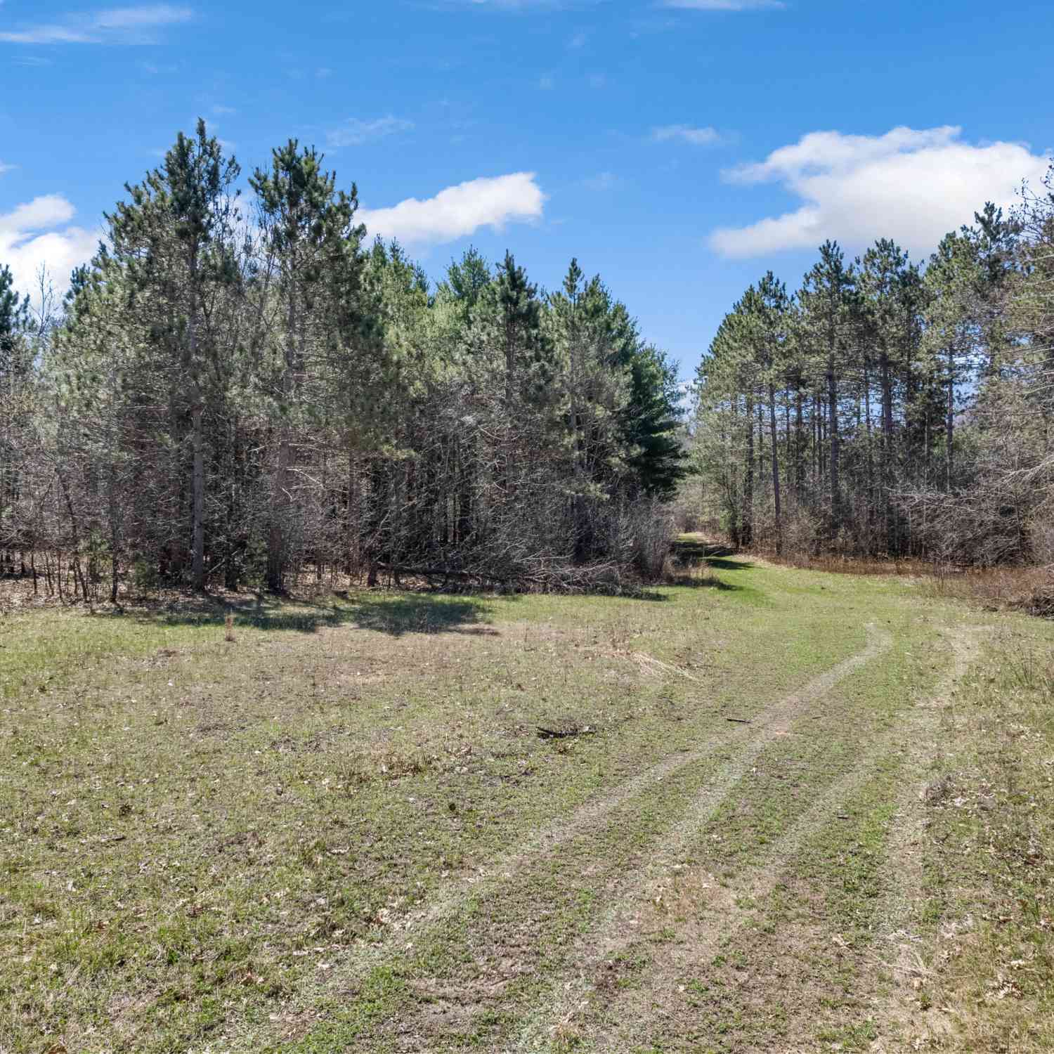 Vacant Land For Sale - 000 County Highway I<br/> New Lyme, WI 54656