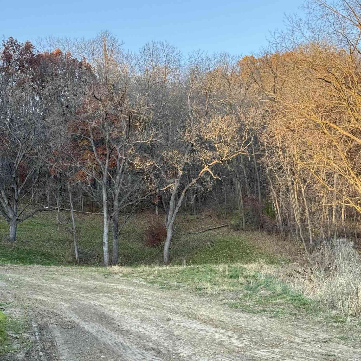 Vacant Land For Sale - LOT 56 Grand Glen<br/> La Crosse County, Onalaska, WI 54650