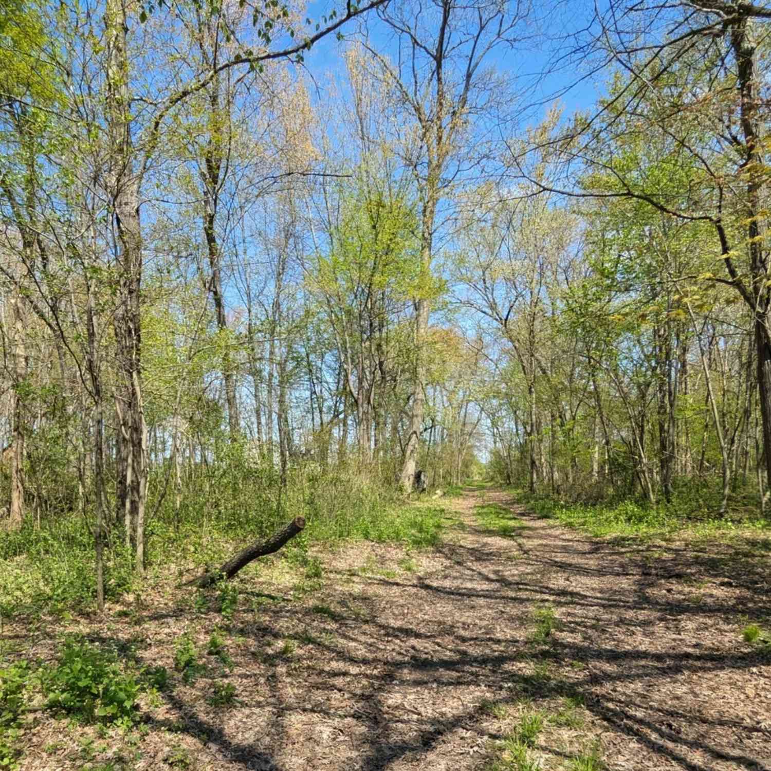 Vacant Land For Sale - LT1 W Hillcrest<br/> Dodge County, Hustisford, WI 53034