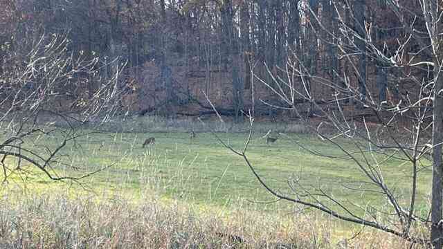 Vacant Land For Sale - LT2 S Clark<br/> Dodge County, Mayville, WI 53050