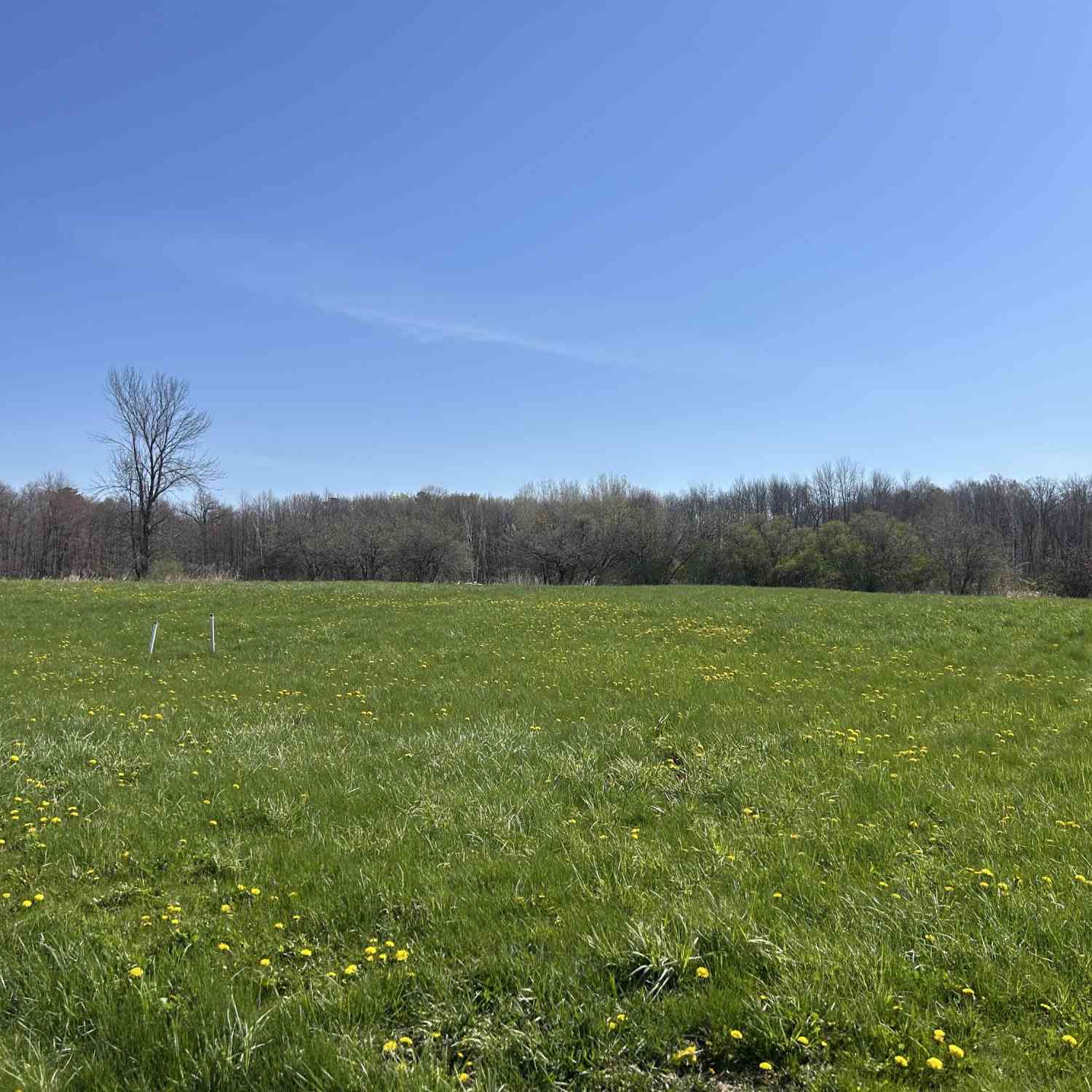 Vacant Land For Sale - LT3 Wild Oak<br/> Manitowoc, WI 54220