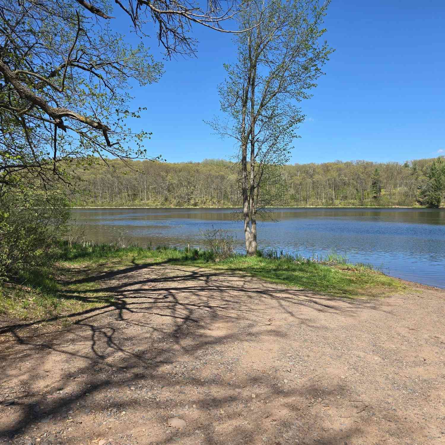 Vacant Land For Sale - 000 Dilly Lake<br/> Spooner, WI 54801