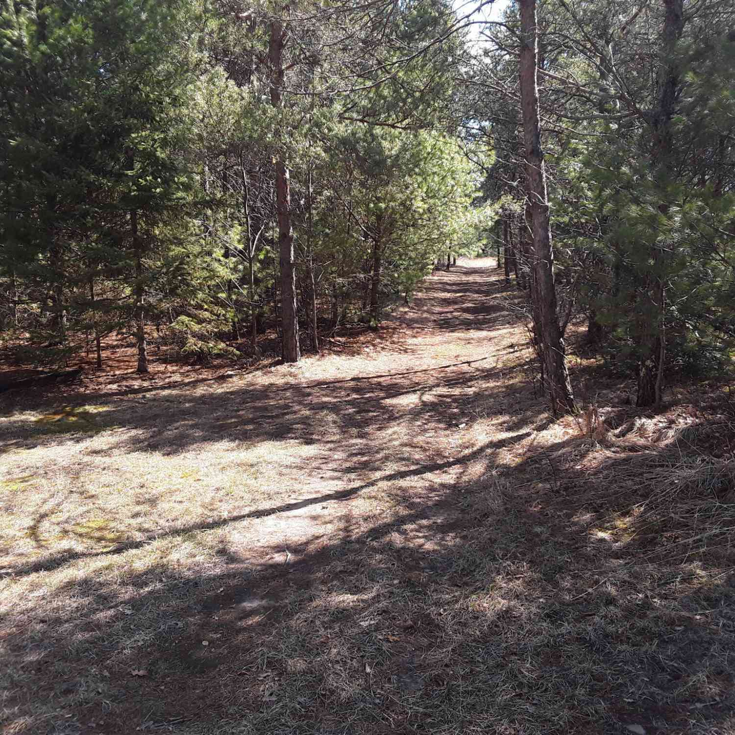 Vacant Land For Sale - N18352 Reed<br/> Pembine, WI 54156