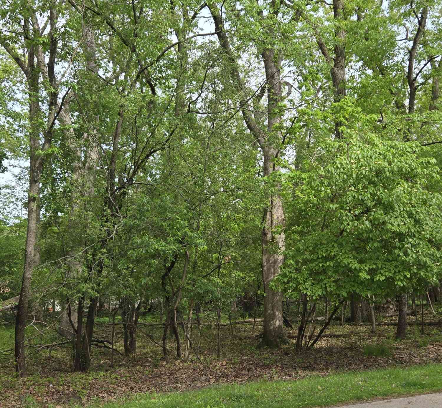 Vacant Land For Sale - 243 Van Bee<br/> Williams Bay, WI 53191