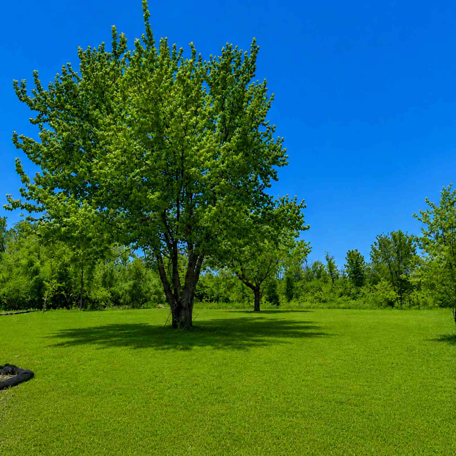 Vacant Land For Sale - 2516 W Range Line<br/> Mequon, WI 53092