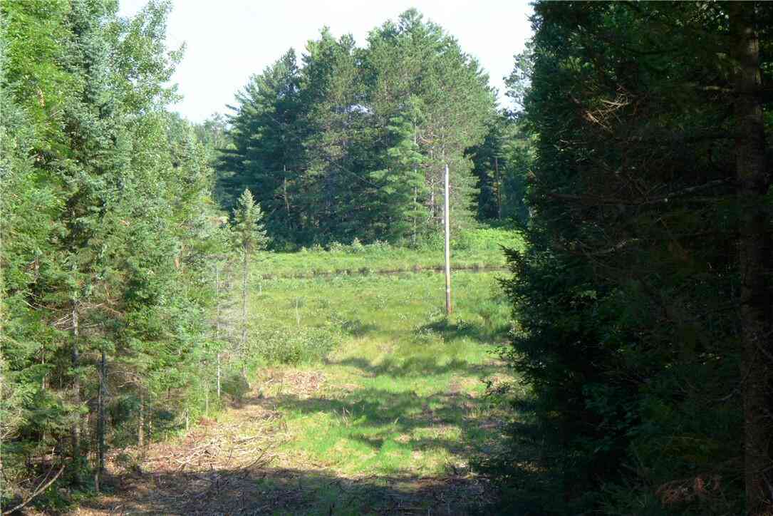Vacant Land For Sale - Brandt<br/> Hayward, WI 54843