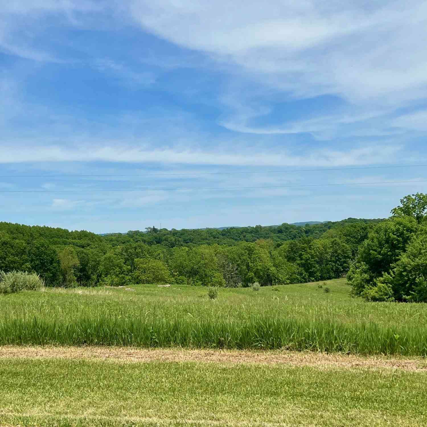 Vacant Land For Sale - 14026 Eagle Ridge<br/> Crawford County, Ferryville, WI 54628
