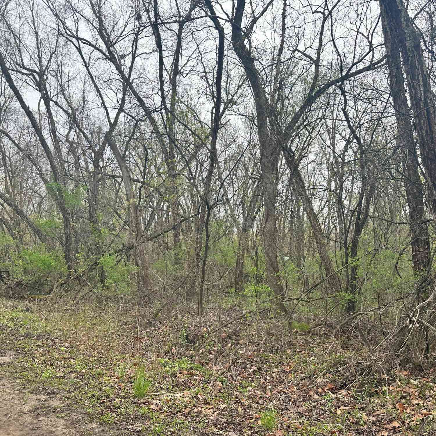 Vacant Land For Sale - LOT 0 Catfish<br/> Trempealeau, WI 54661