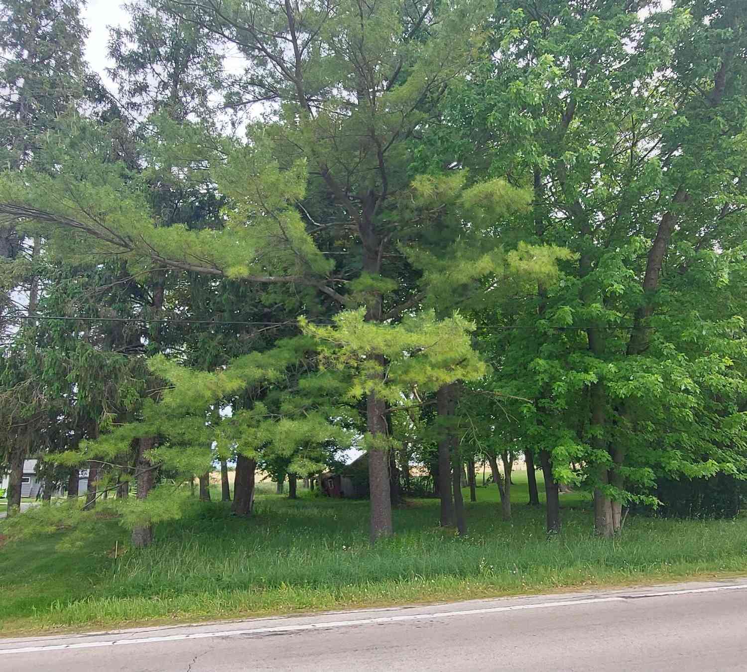 Vacant Land For Sale - W1053 W County Road O<br/> Ashippun, WI 53066