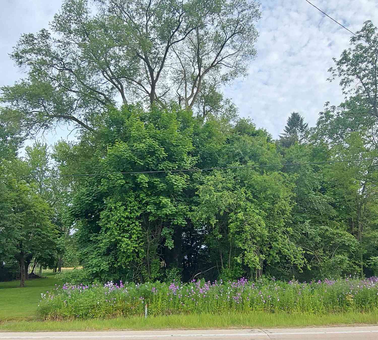 Vacant Land For Sale - W County Road O<br/> Ashippun, WI 53066