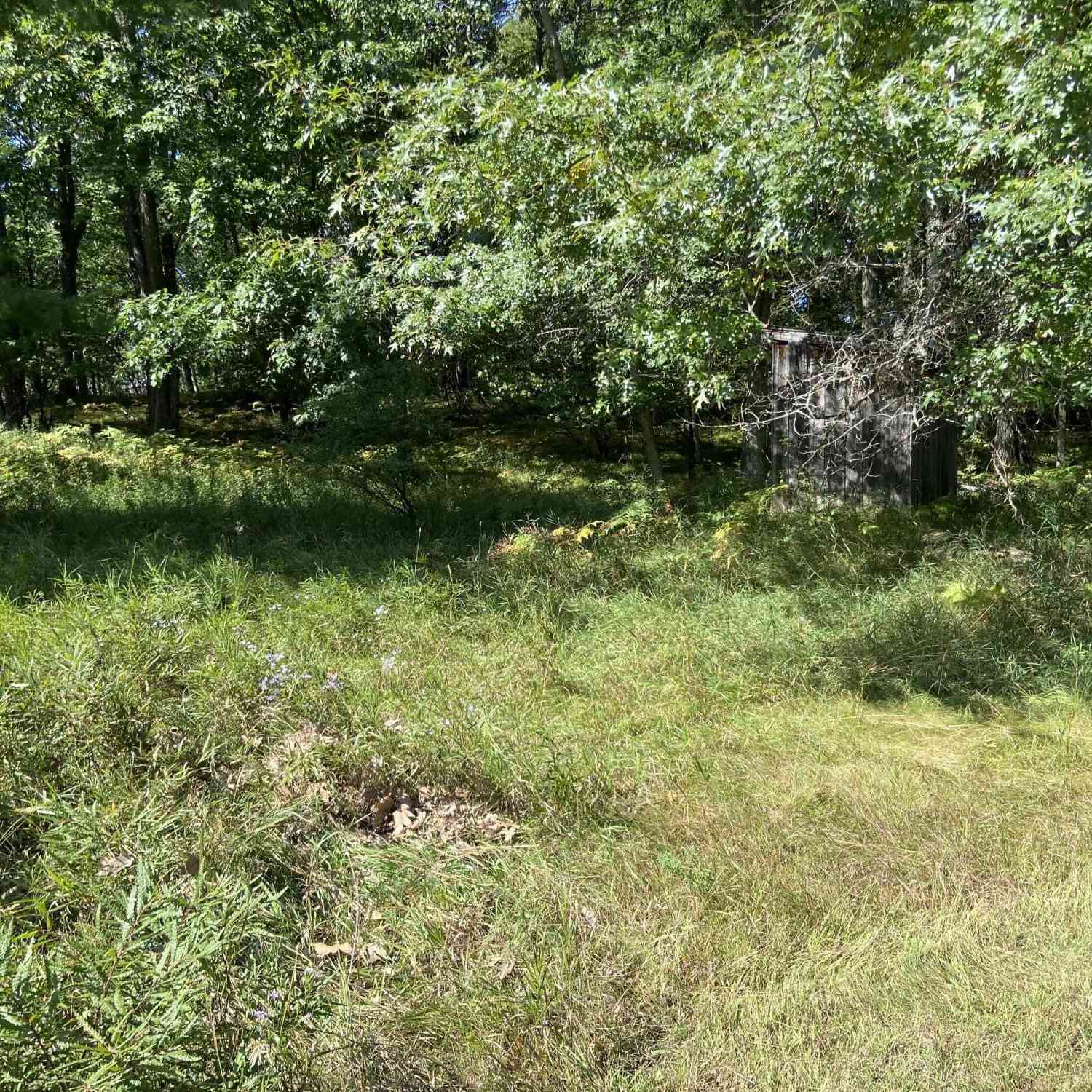 Vacant Land For Sale - LT1 Westberg<br/> Amberg, WI 54102