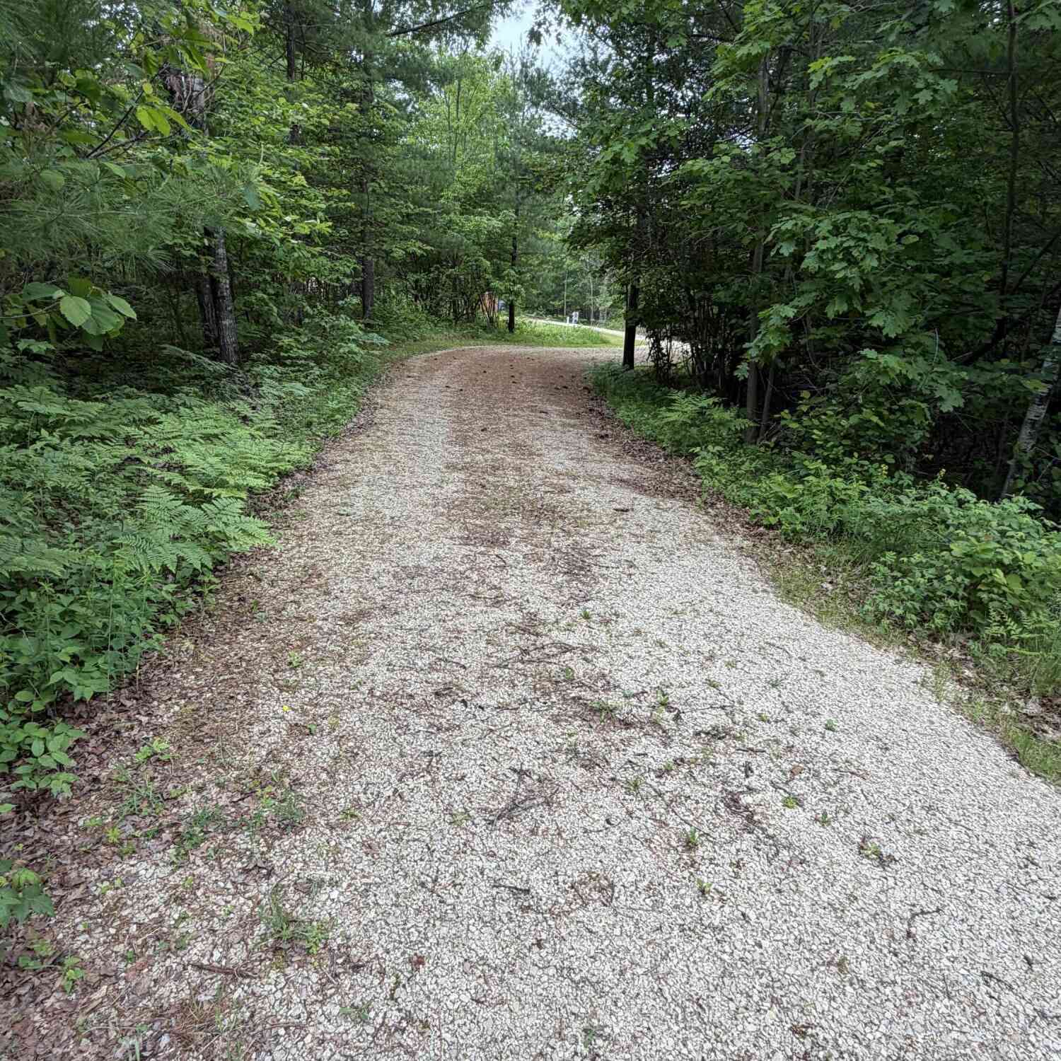 Vacant Land For Sale - N12147 Hillside<br/> Wausaukee, WI 54177