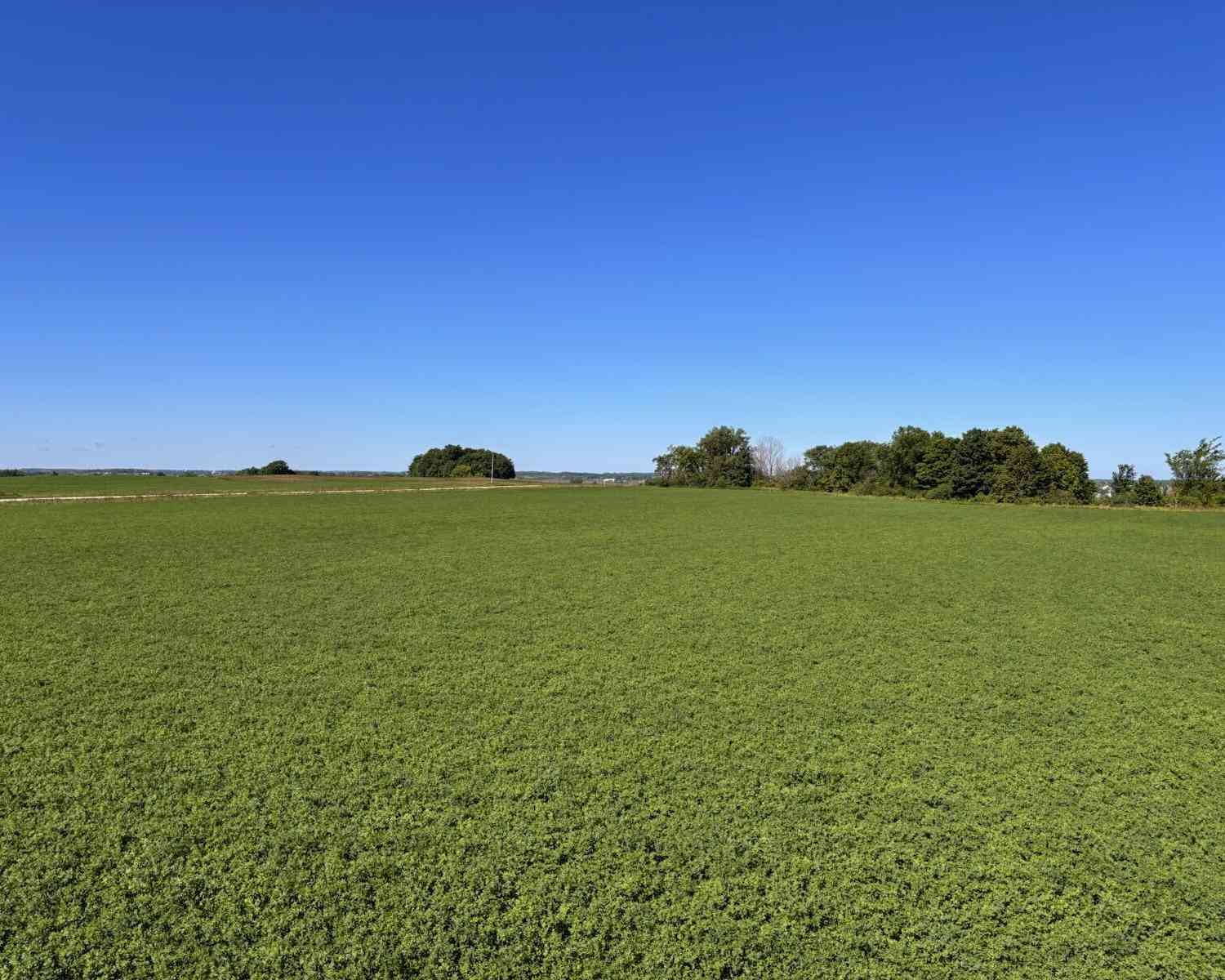Vacant Land For Sale - E859 County Road S #LOT 2<br/> Luxemburg, WI 54217