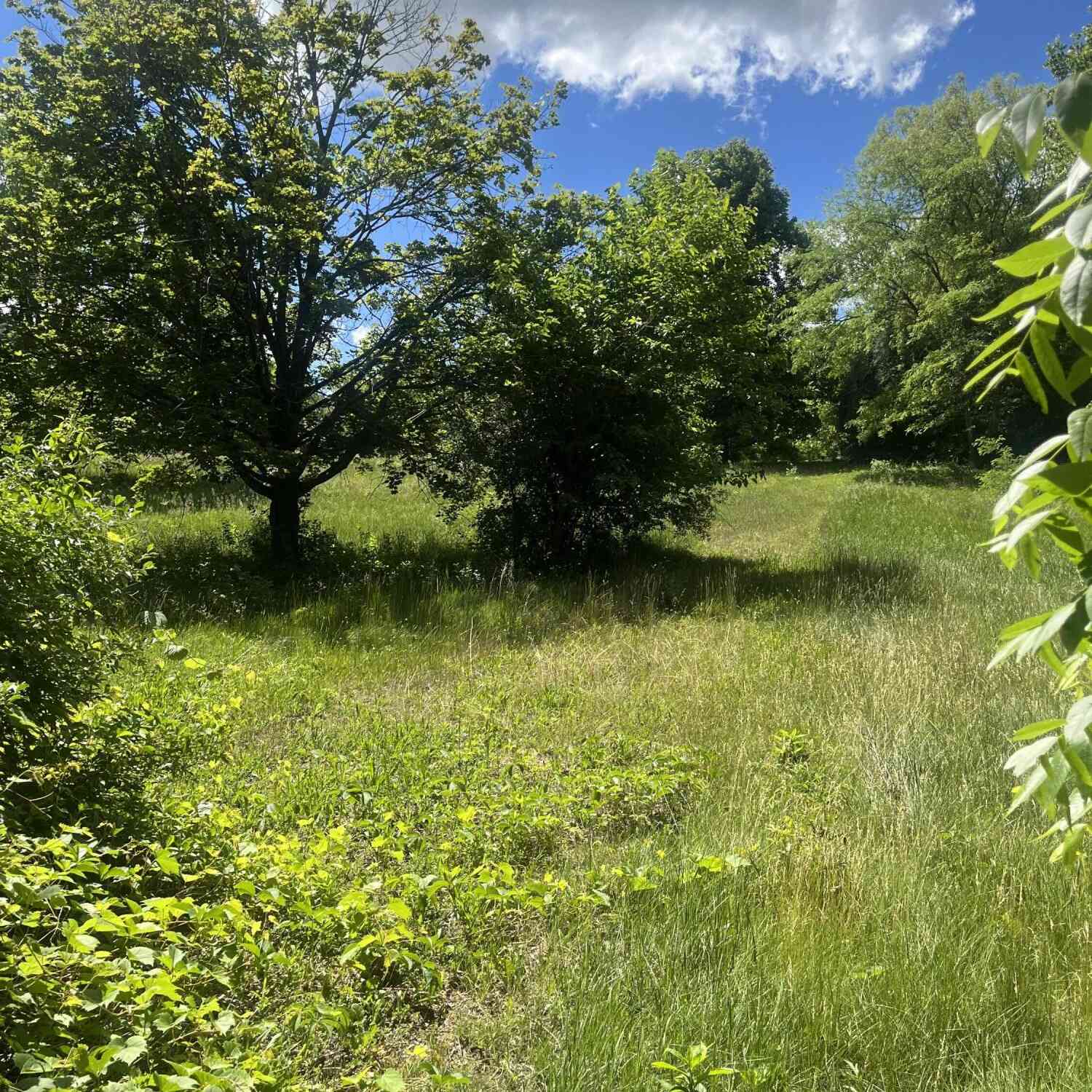 Vacant Land For Sale - S79W23455 Cheri<br/> Waukesha County, Big Bend, WI 53103