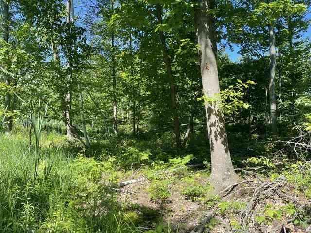 Vacant Land For Sale - CTY Shawano Line<br/> Green Valley, WI 54124
