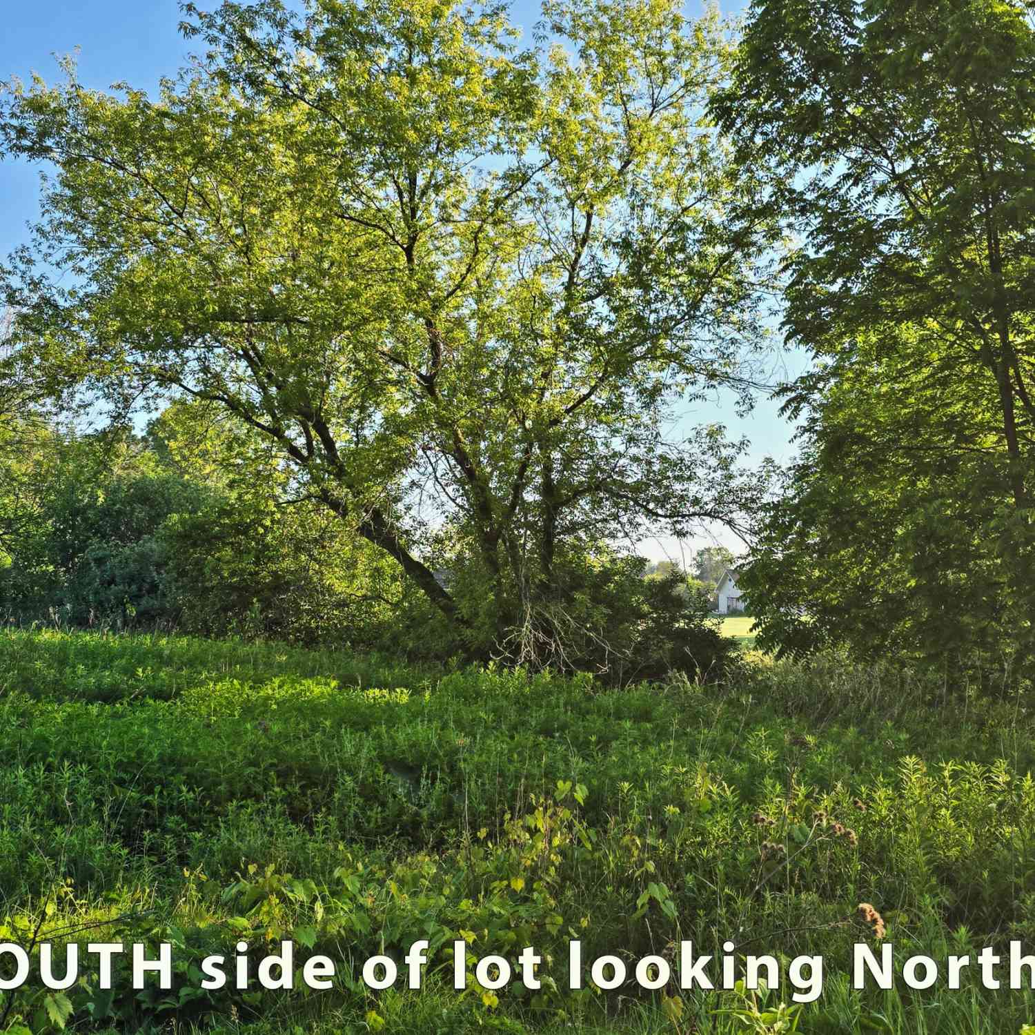 Vacant Land For Sale - TRACT 7 Woodcock<br/> Manitowoc County, Mishicot, WI 54228