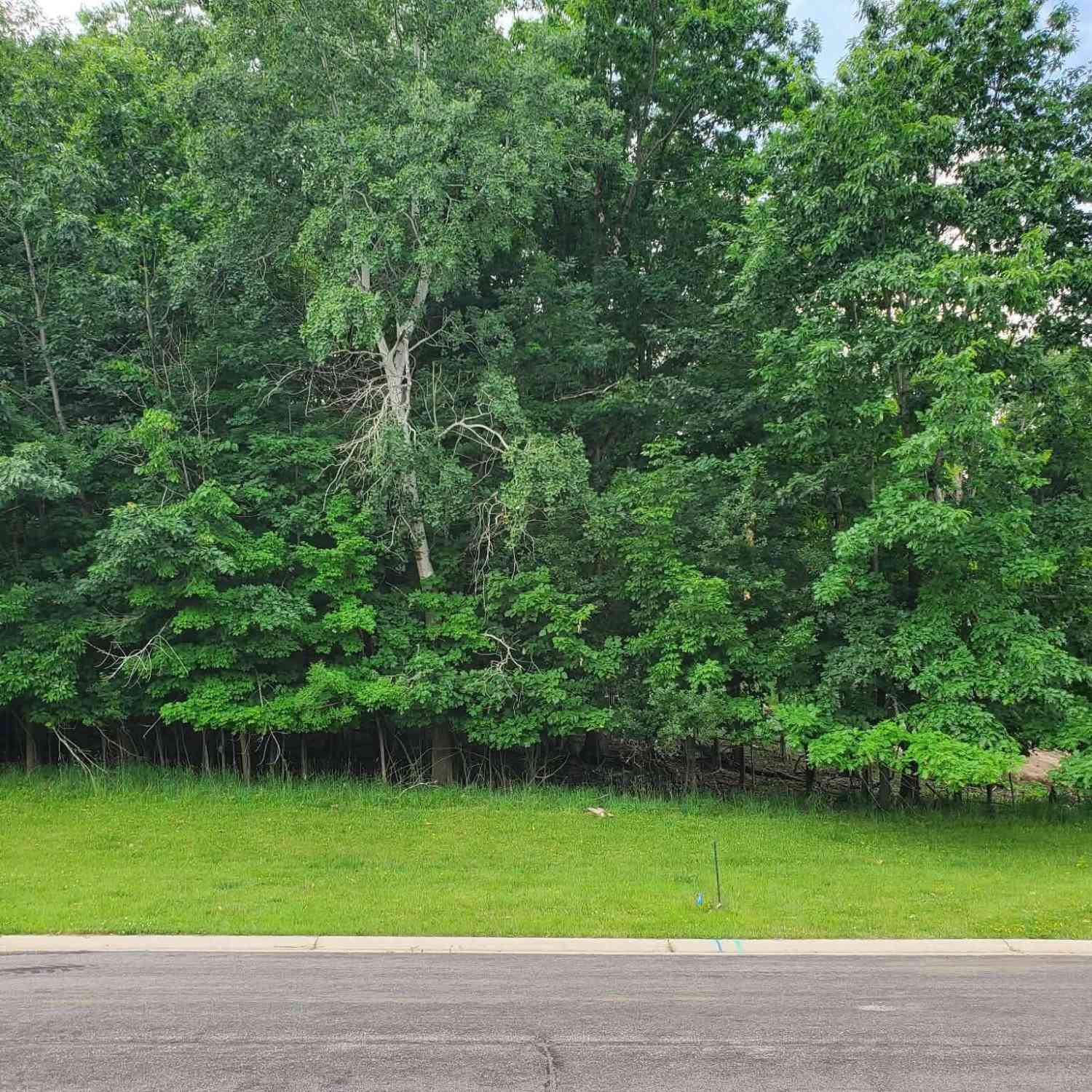 Vacant Land For Sale - 1041 Woods Edge<br/> Washington County, Hartford, WI 53027
