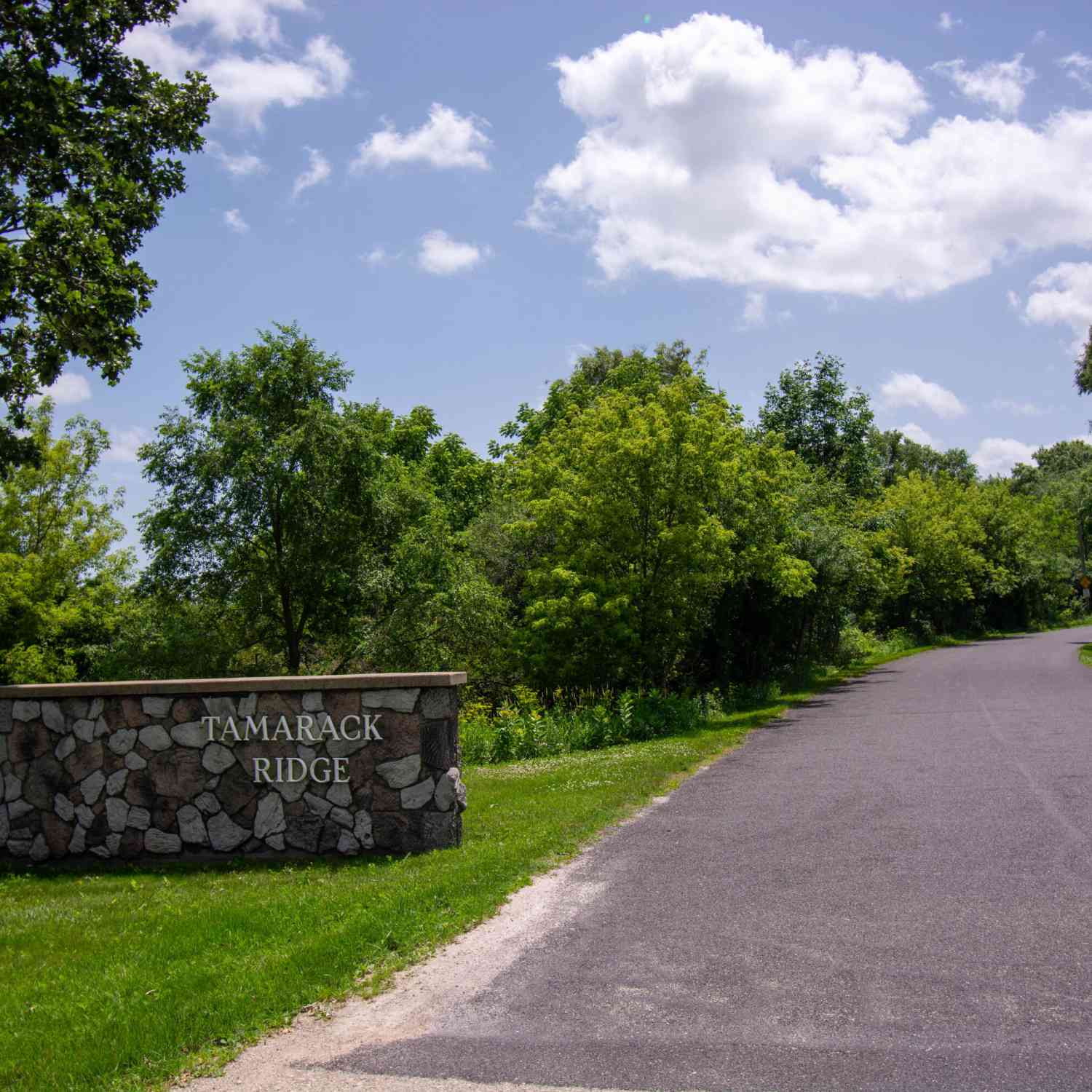 Vacant Land For Sale - LOT 0 Tamarack Ridge<br/> Elkhorn, WI 53121