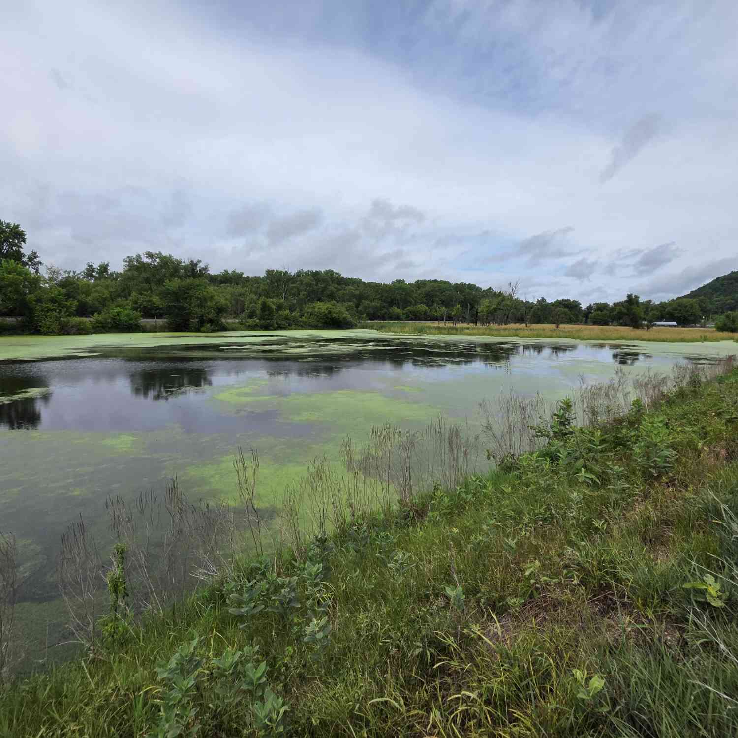 Vacant Land For Sale - LOT 0 State Highway 35<br/> Ferryville, WI 54627