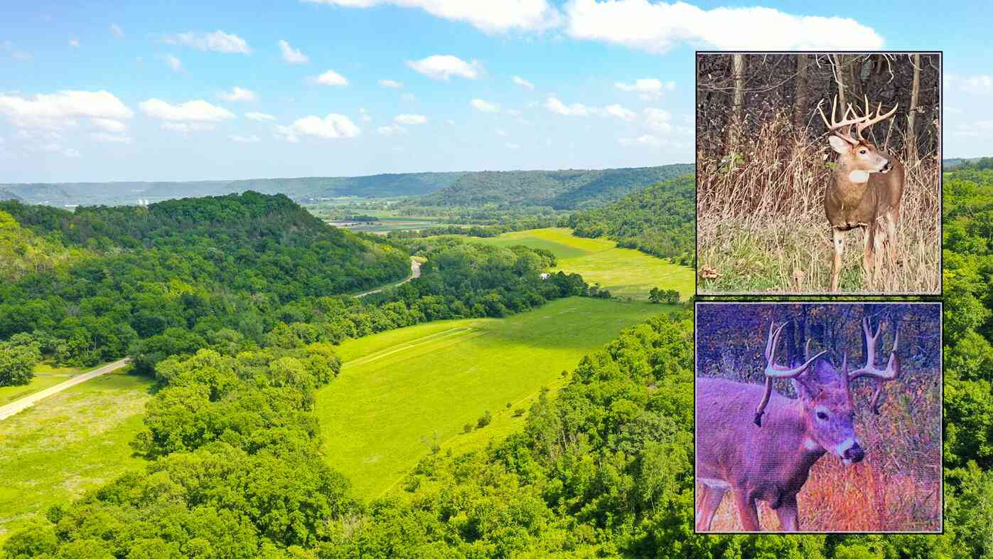 Vacant Land For Sale - State 30<br/> Rushford, MN 55971