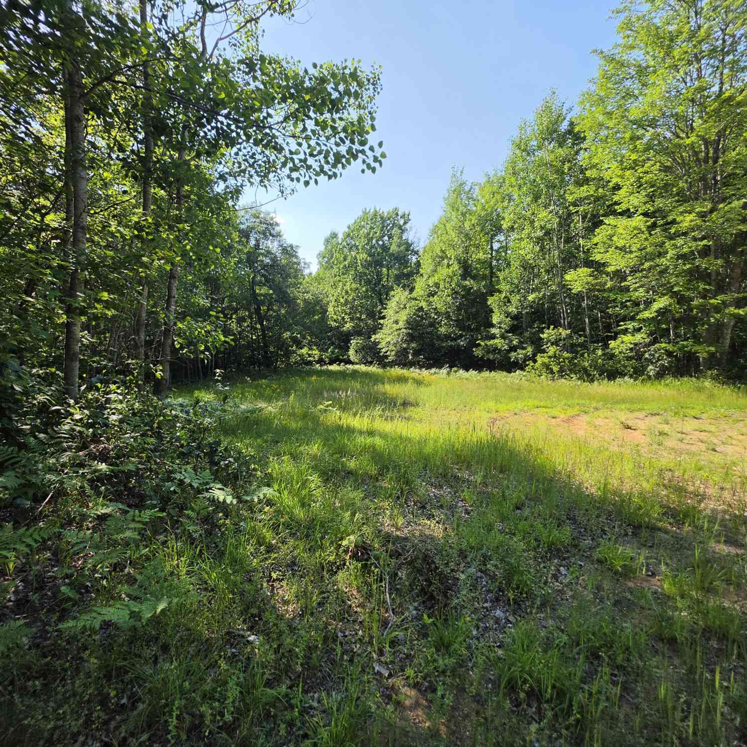 Vacant Land For Sale - 1.55 ACRES Oak Ridge<br/> Marinette County, Amberg, WI 54102