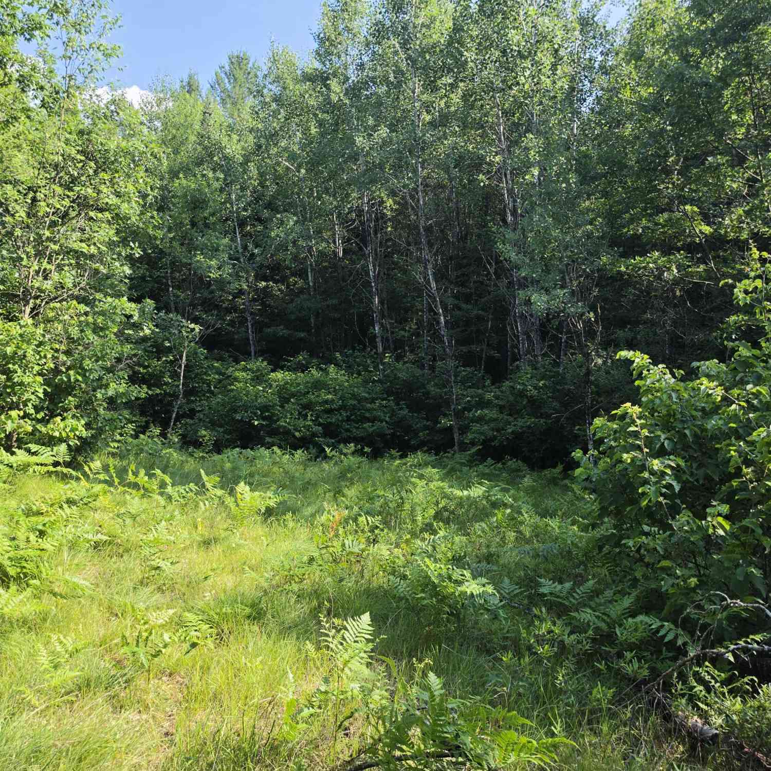 Vacant Land For Sale - 4.62 ACRES Oak Ridge<br/> Marinette County, Amberg, WI 54102