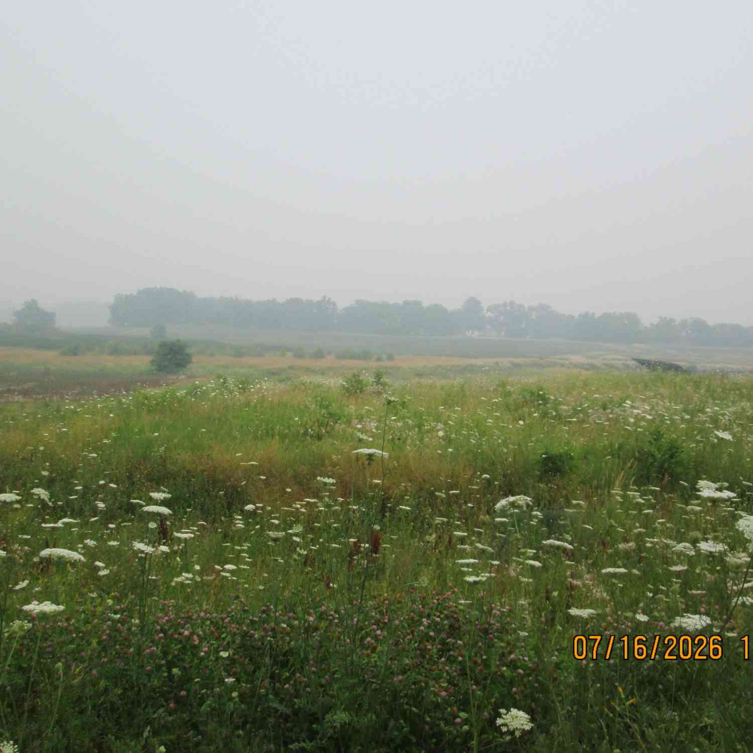 Vacant Land For Sale - 1155 Beere<br/> Racine County, Rochester, WI 53105