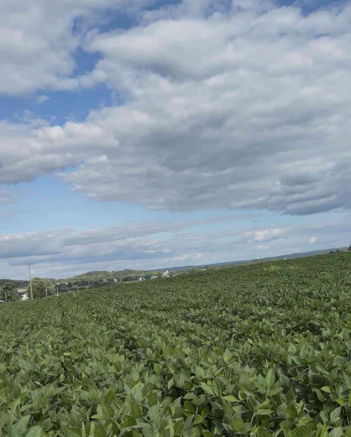 Vacant Land For Sale - LOT 2 Gaslight<br/> Monroe County, Sparta, WI 54656