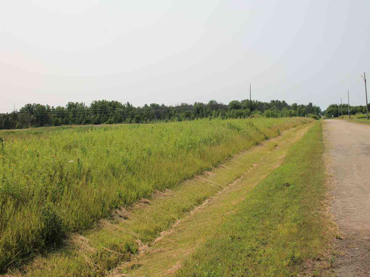 Vacant Land For Sale - LOT 1 Sandhill<br/> Oconto, WI 54153