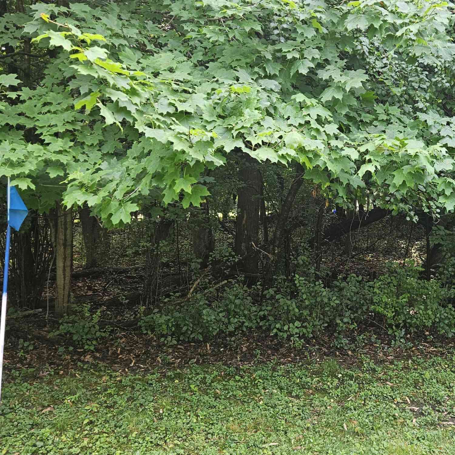 Vacant Land For Sale - LT1 S 42nd<br/> Greenfield, WI 53220