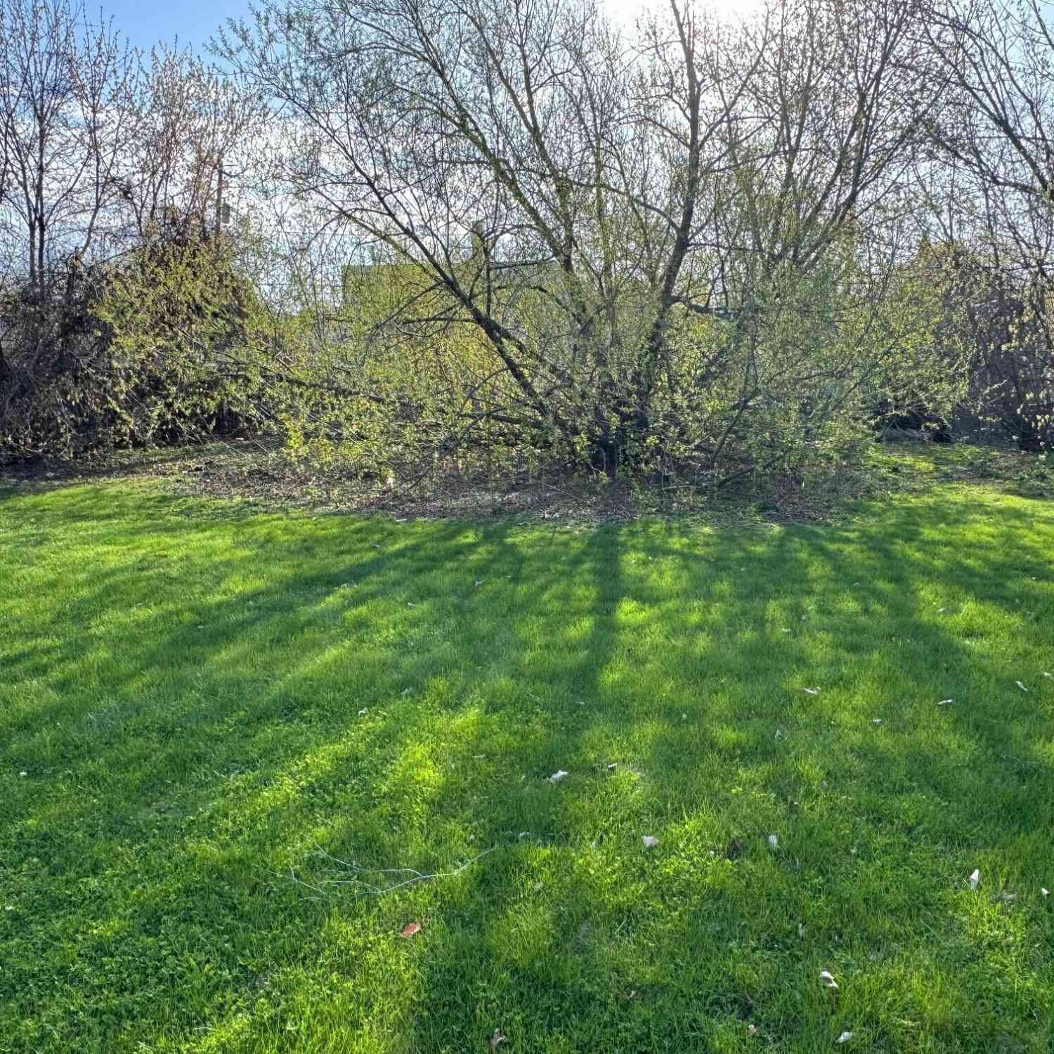 Vacant Land For Sale - 2228 N Palmer<br/> Milwaukee County, Milwaukee, WI 53212