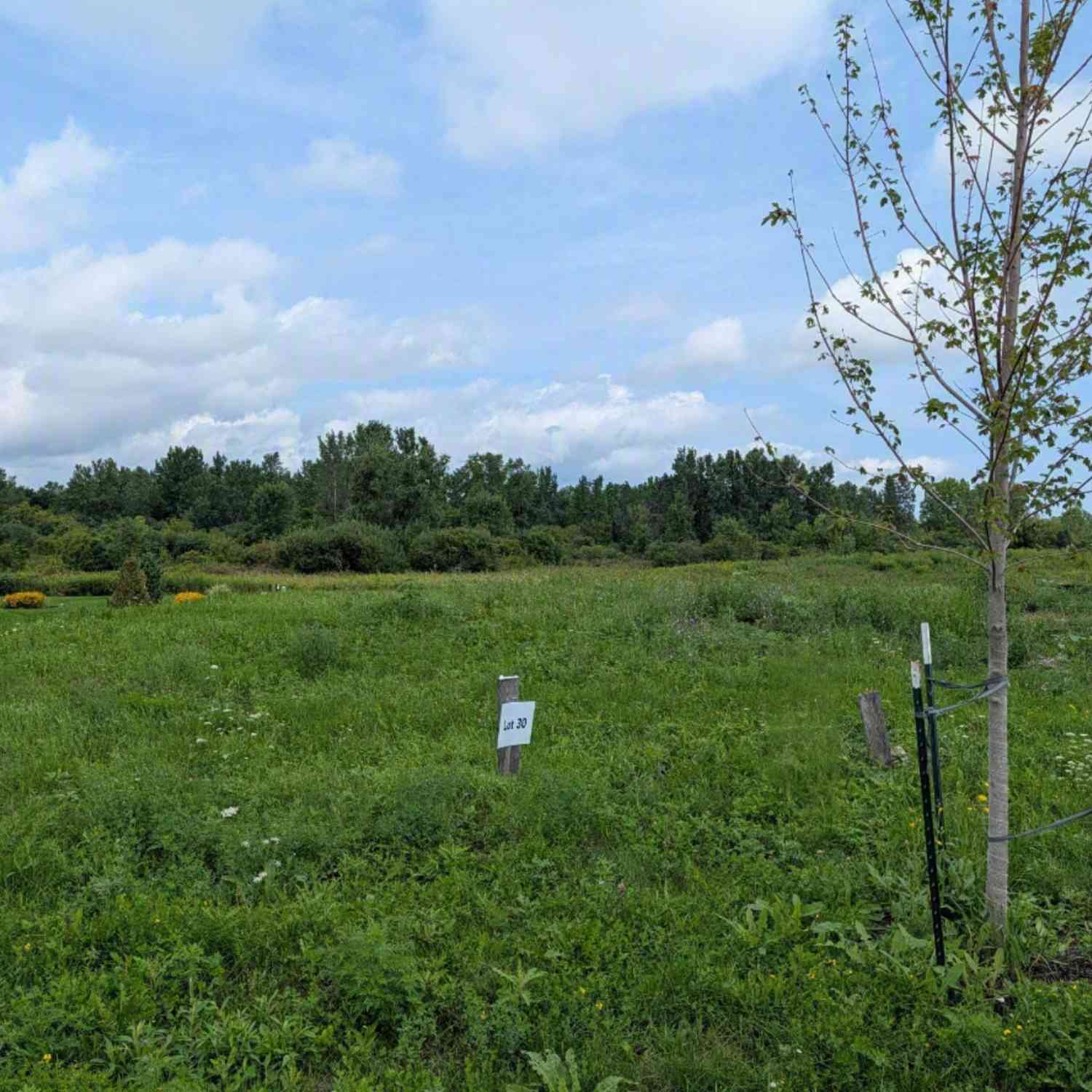 Vacant Land For Sale - LT30 Creekside<br/> Kenosha County, Pleasant Prairie, WI 53158